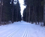 chamonix-cross-country-skiing-through-the-woods